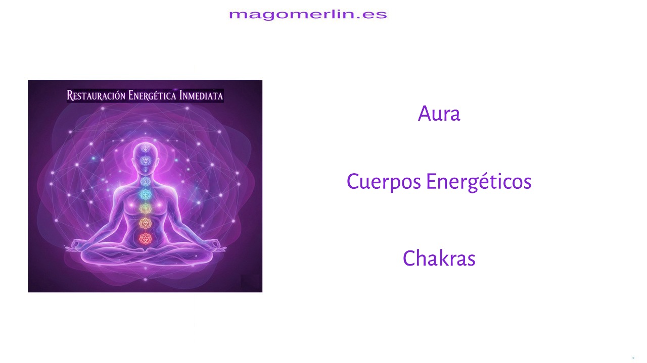 MagoMerlin.es - Pasos a Seguir - Restauracion