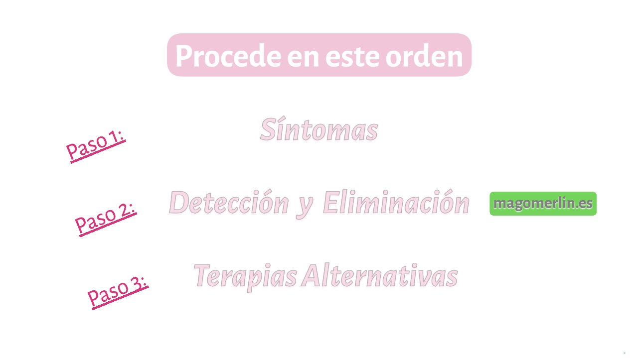 MagoMerlin.es - Video - 08 Proceder